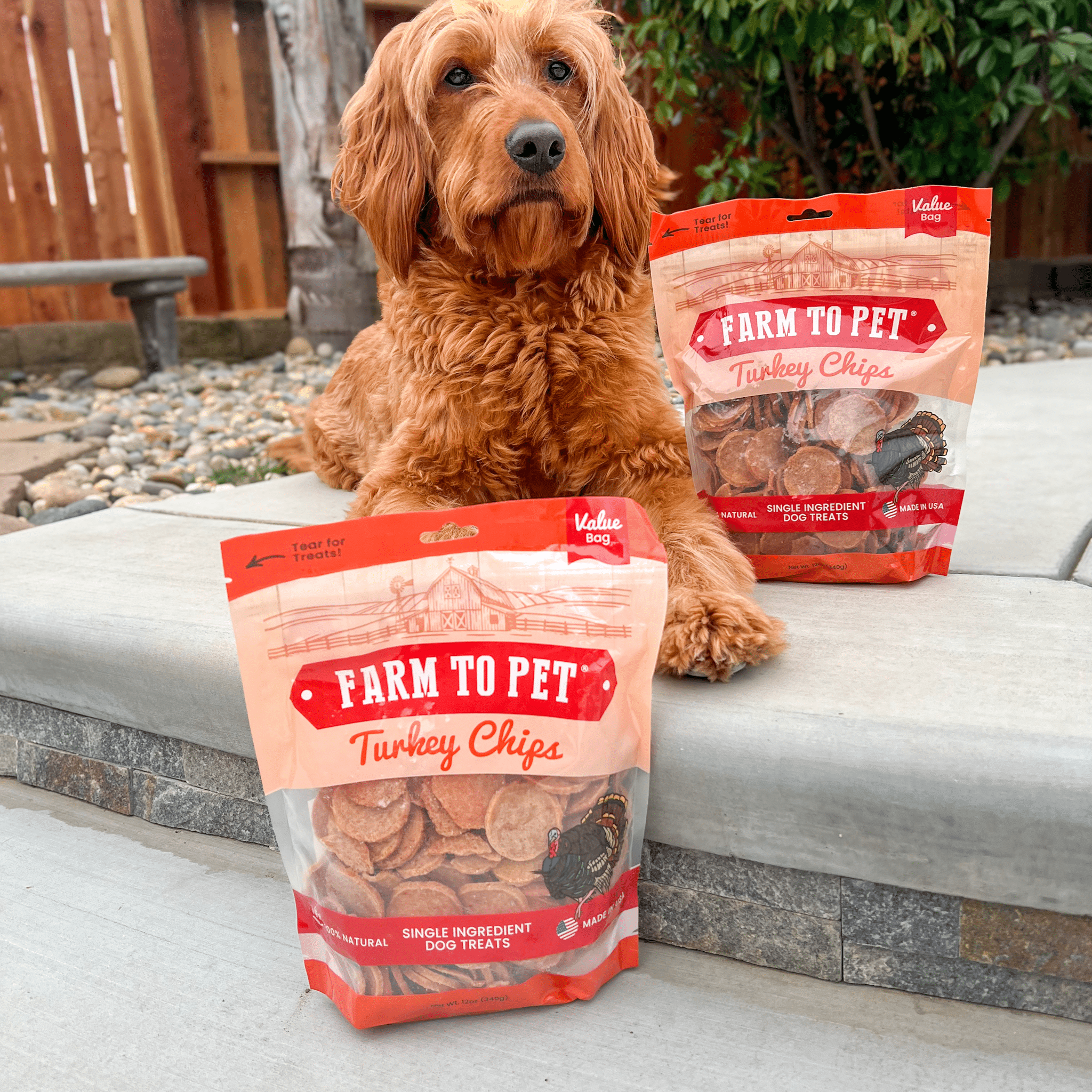 Turkey Chips for Pets | All-Natural Single-Ingredient Healthy Pet Treats