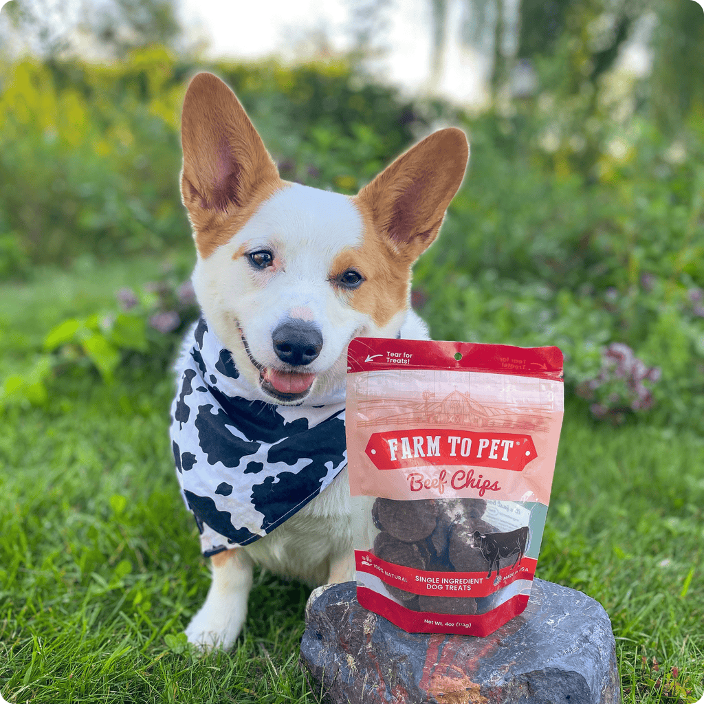 Beef Chips Pet Treats | Single-Ingredient Healthy Treats for Pets