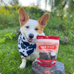 Beef Chips Pet Treats | Single-Ingredient Healthy Treats for Pets