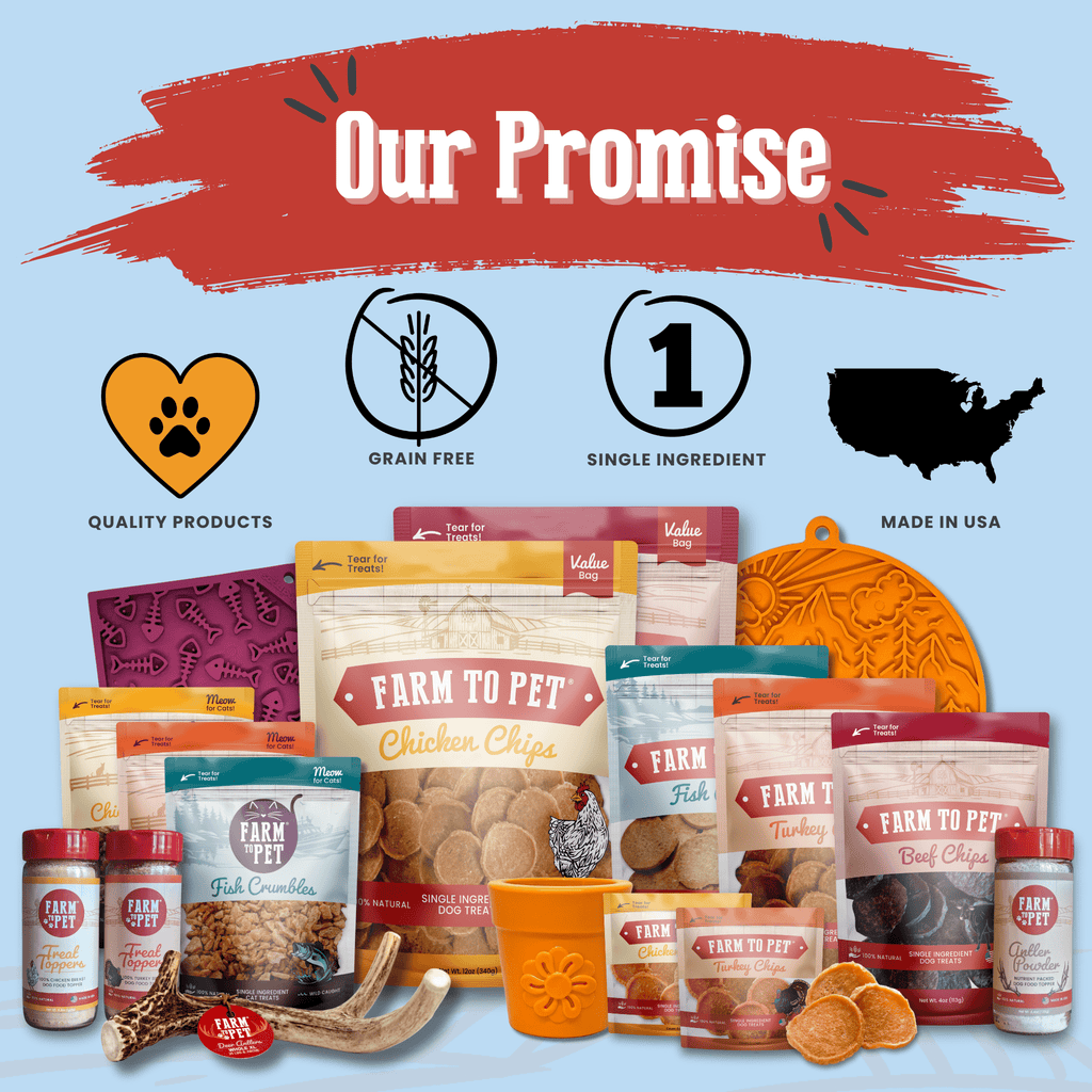Chicago Chicken Chips | Treats To Celebrate Our Hometown
