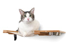 Dog Proof Cat Feeder - Wall-Mounted - Raised