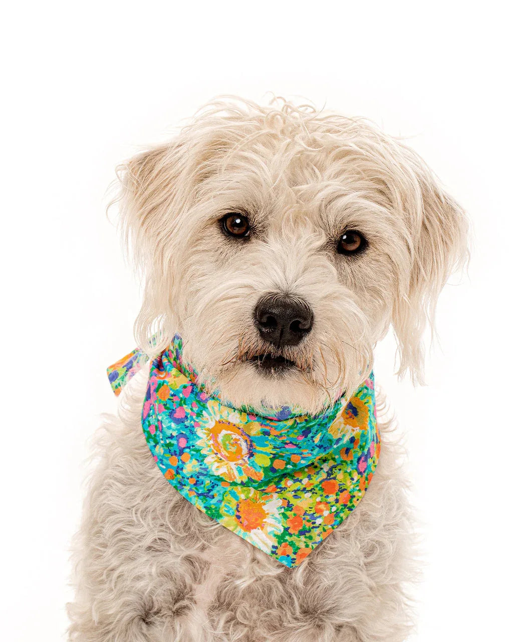 Floral Bandana 13 - MiniPaw Luxe