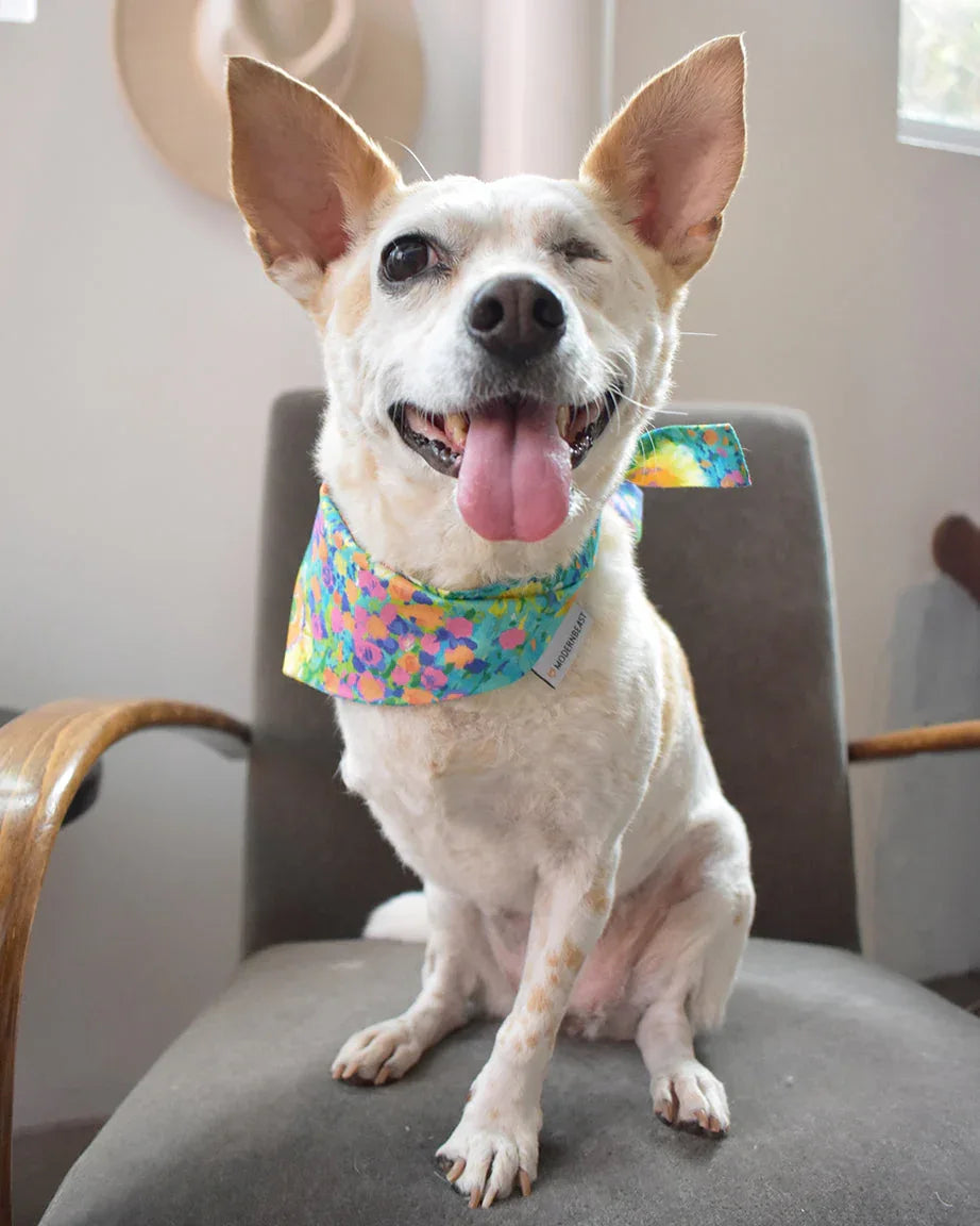 Floral Bandana 14 - MiniPaw Luxe