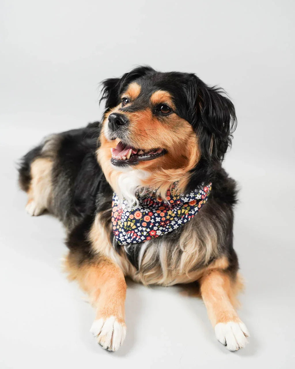 Floral Bandana 16 - MiniPaw Luxe
