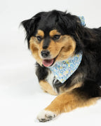 Floral Bandana 18 - MiniPaw Luxe
