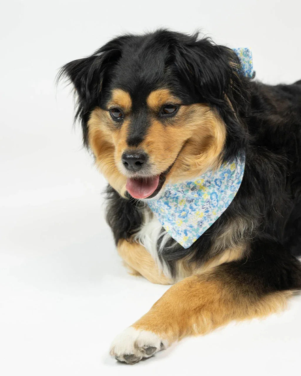 Floral Bandana 18 - MiniPaw Luxe