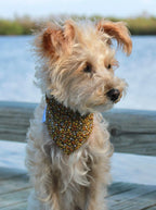 Floral Bandana 20 - MiniPaw Luxe