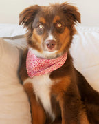 Floral Bandana 6 - MiniPaw Luxe