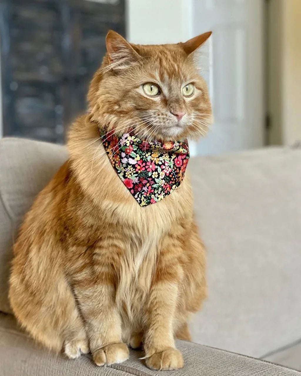 Floral Bandana 9 - MiniPaw Luxe