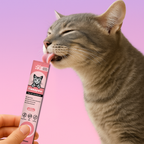 Lickable Cat Paste Sticks