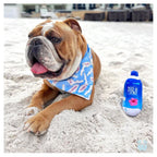 Furji Water 6 - MiniPaw Luxe