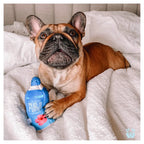 Furji Water 7 - MiniPaw Luxe