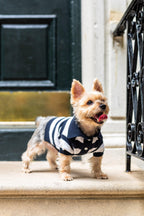 ‘Gene’ Cashmere Blend Polo 3 - MiniPaw Luxe