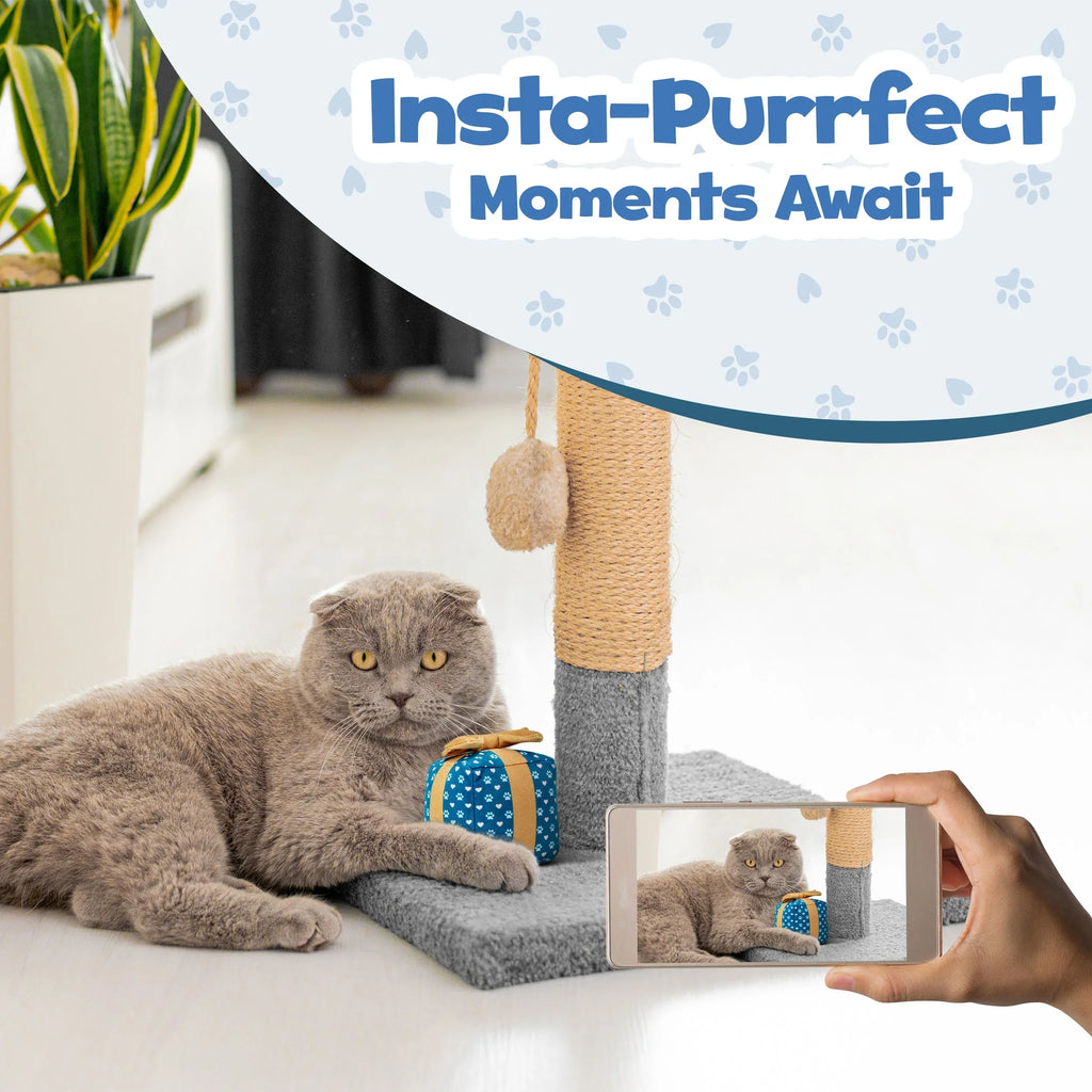 Gift Box Catnip Crinkle Toy 6 - MiniPaw Luxe