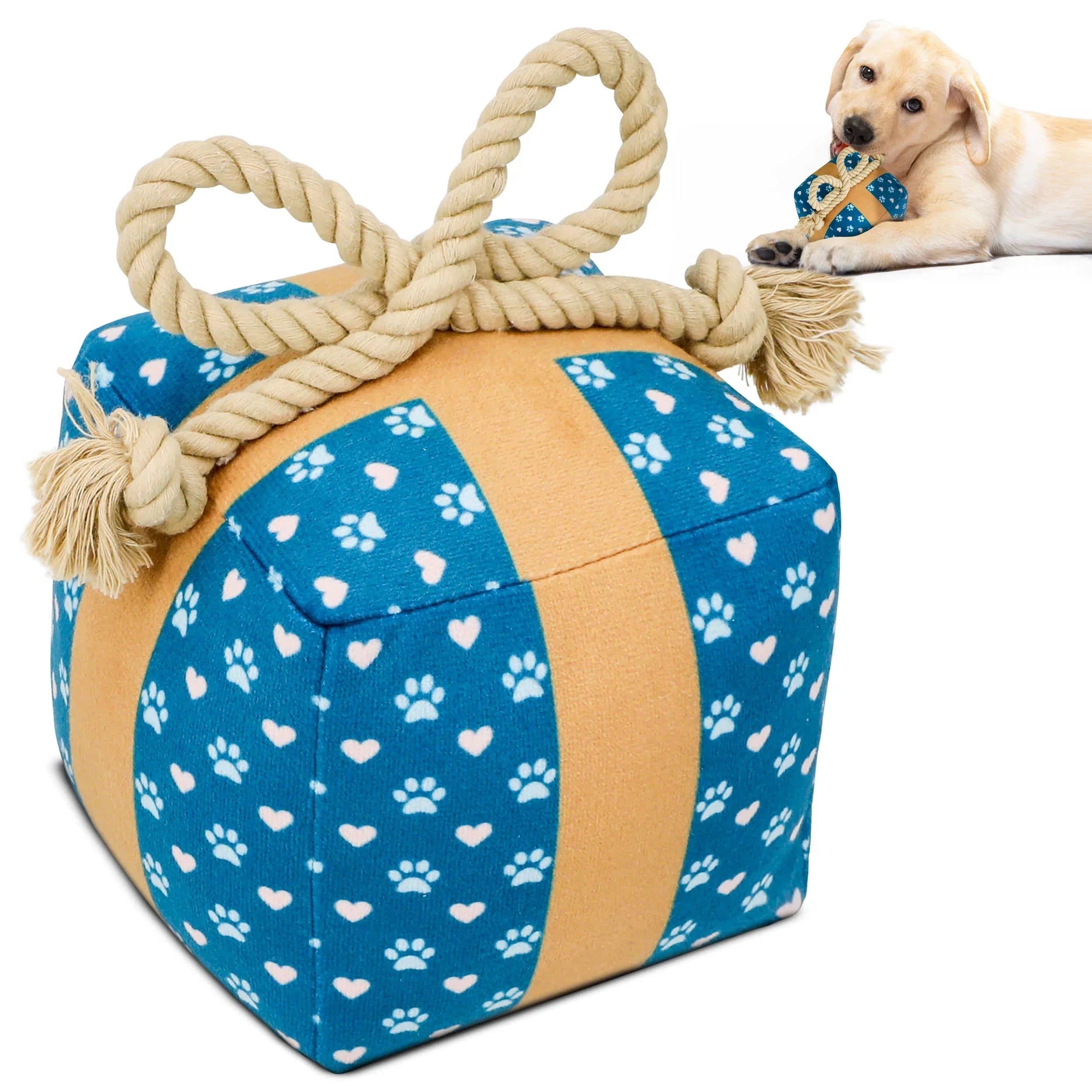 Gift Box Squeaky Dog Toy 1 - MiniPaw Luxe