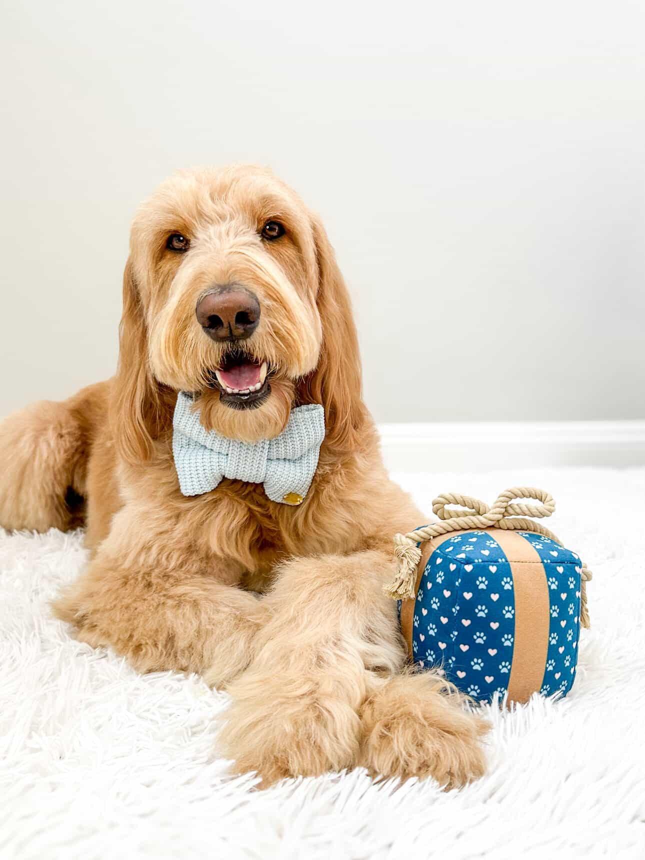 Gift Box Squeaky Dog Toy 2 - MiniPaw Luxe