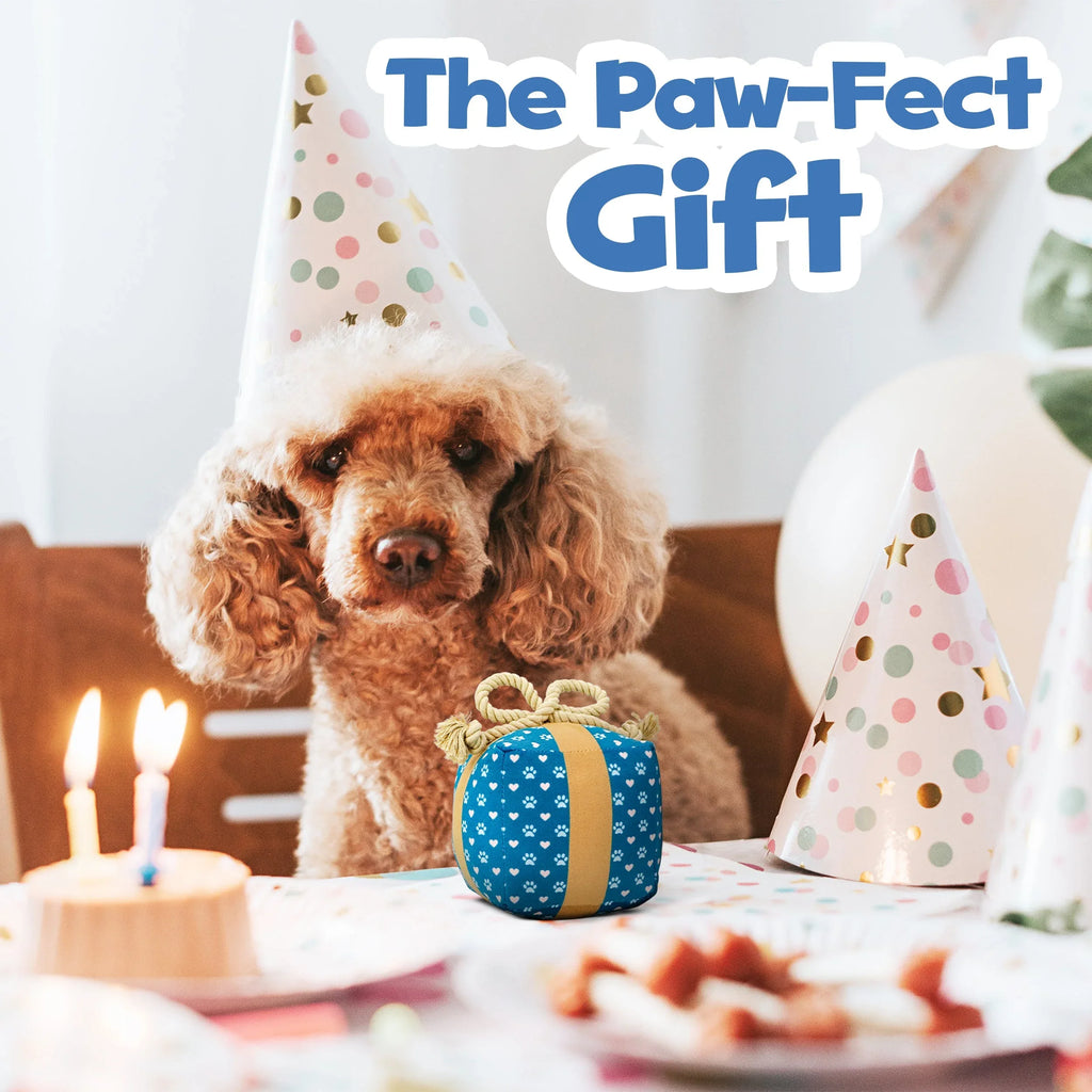 Gift Box Squeaky Dog Toy 4 - MiniPaw Luxe