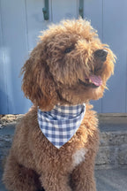 Gingham Bandana 16 - MiniPaw Luxe