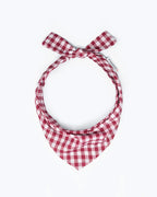 Gingham Bandana 17 - MiniPaw Luxe