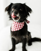 Gingham Bandana 19 - MiniPaw Luxe