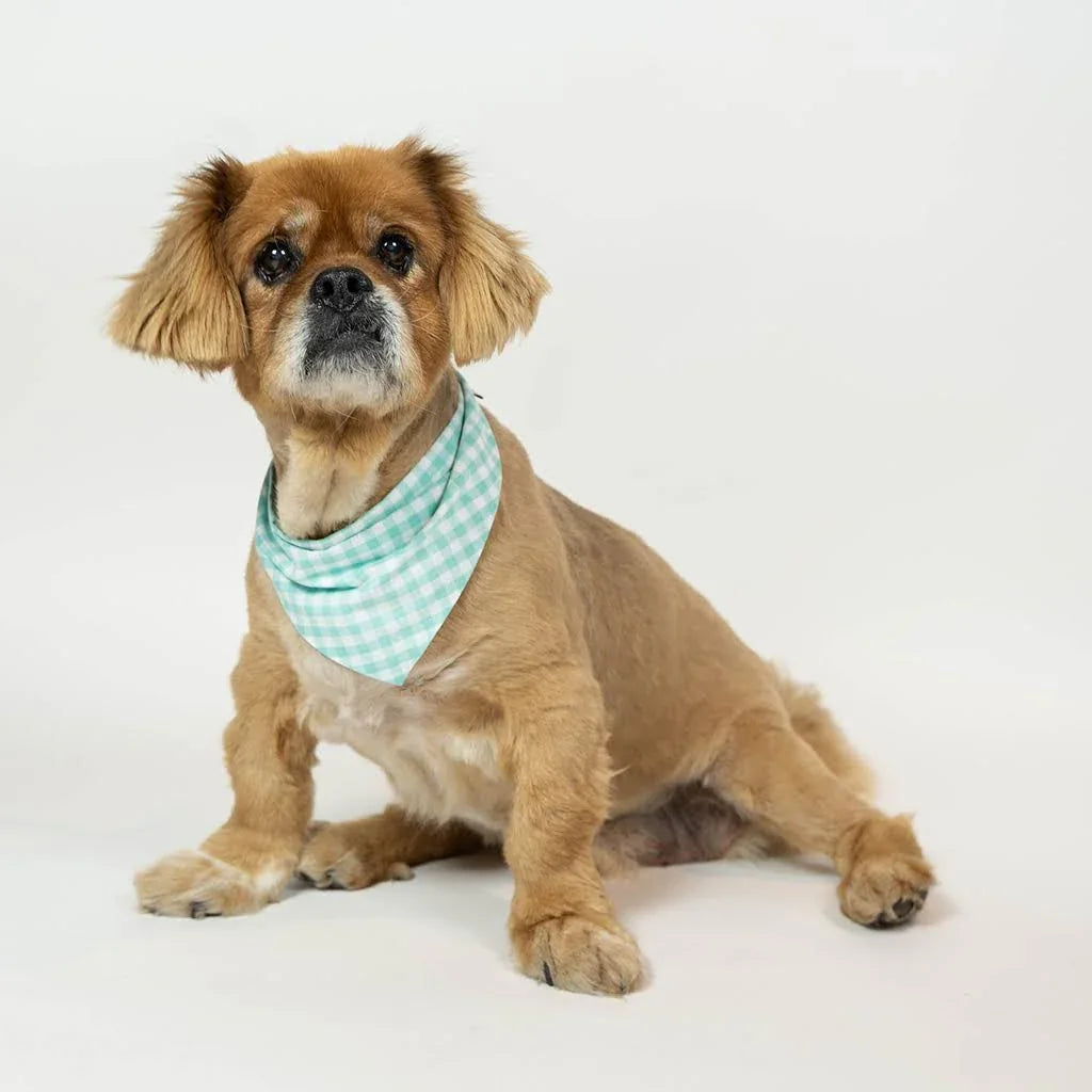 Gingham Bandana 22 - MiniPaw Luxe