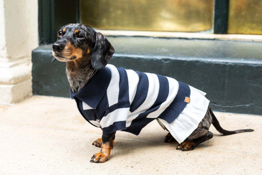 ‘Gladys’ Cashmere blend Polo Dress 3 - MiniPaw Luxe