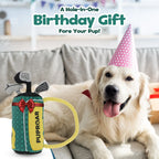 Golf Club Squeaky Crinkle Dog Toy 3 - MiniPaw Luxe