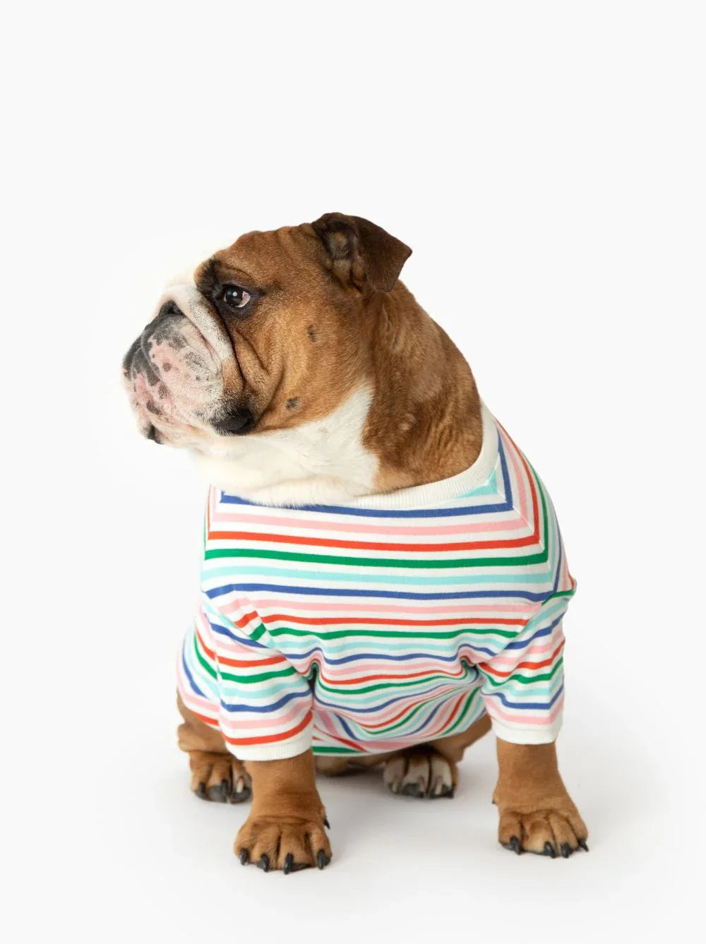 Happy Days Pullover 4 - MiniPaw Luxe