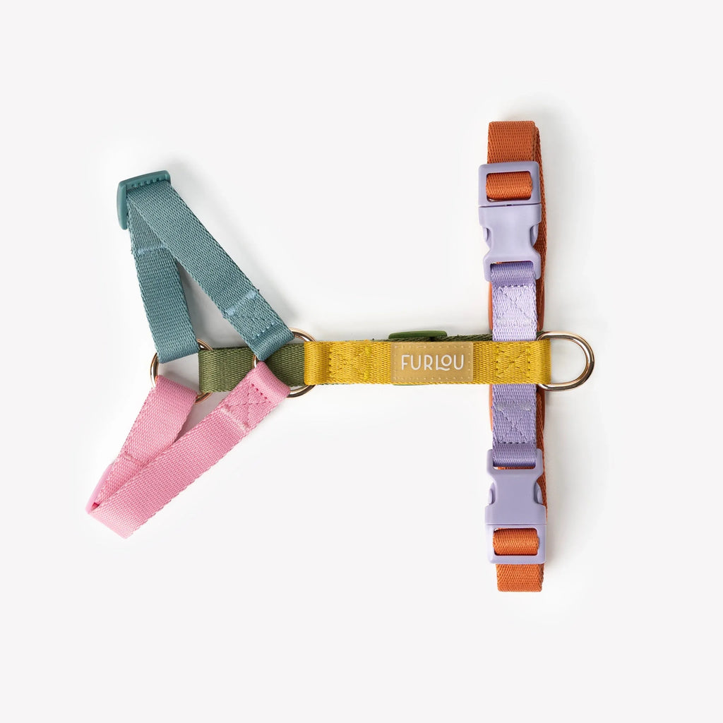 Harness | Rainbow 2 - MiniPaw Luxe