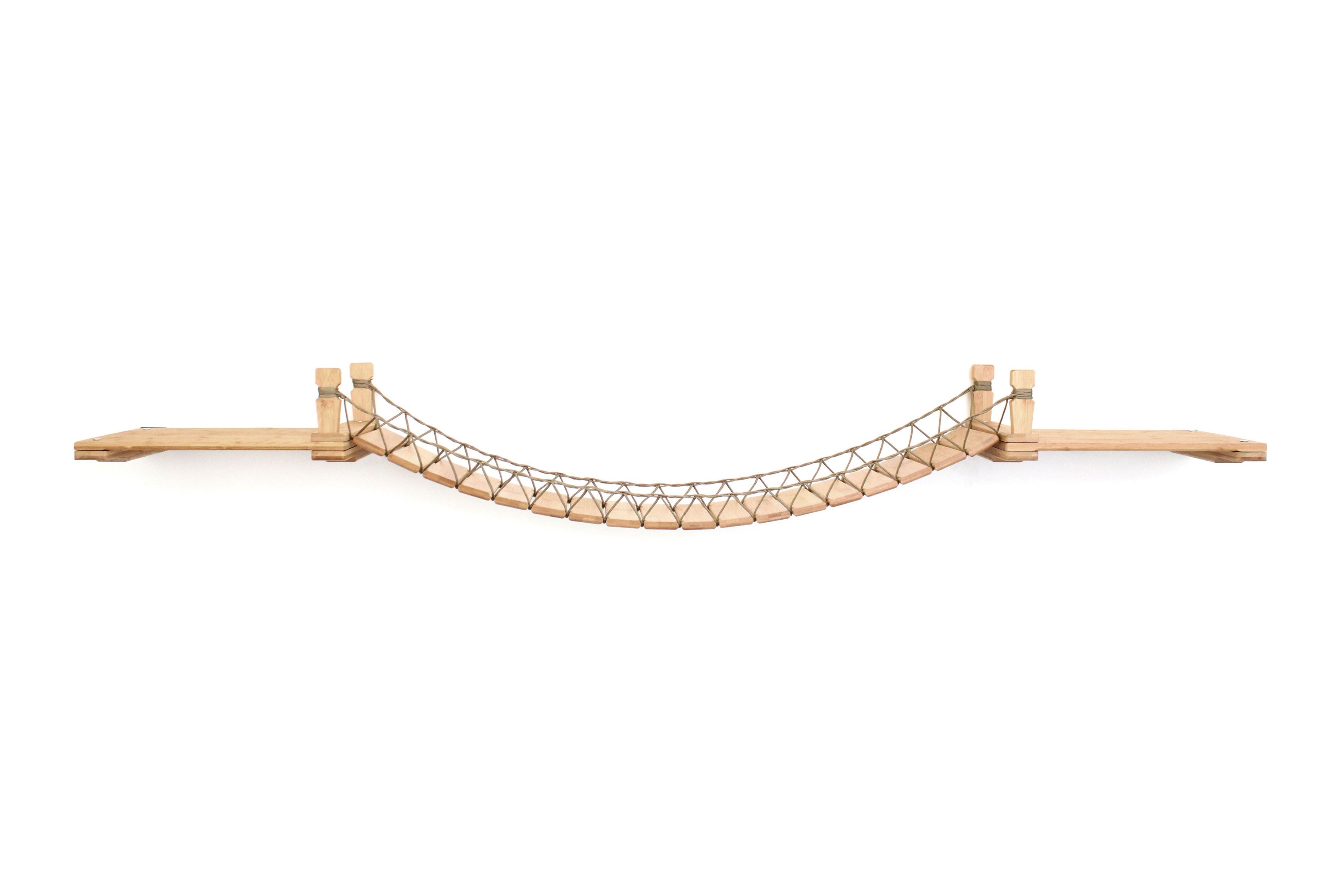 Cat Wall Bridge and Shelf Set