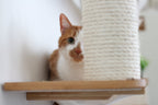 The Bunker - Multi Level Cat Tree with Perch