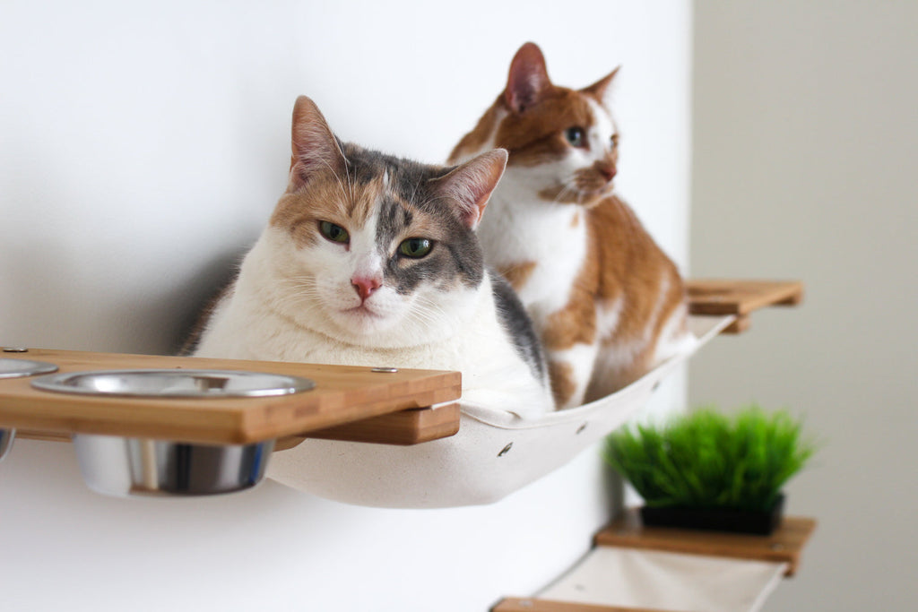 The Bunker - Multi Level Cat Tree with Perch