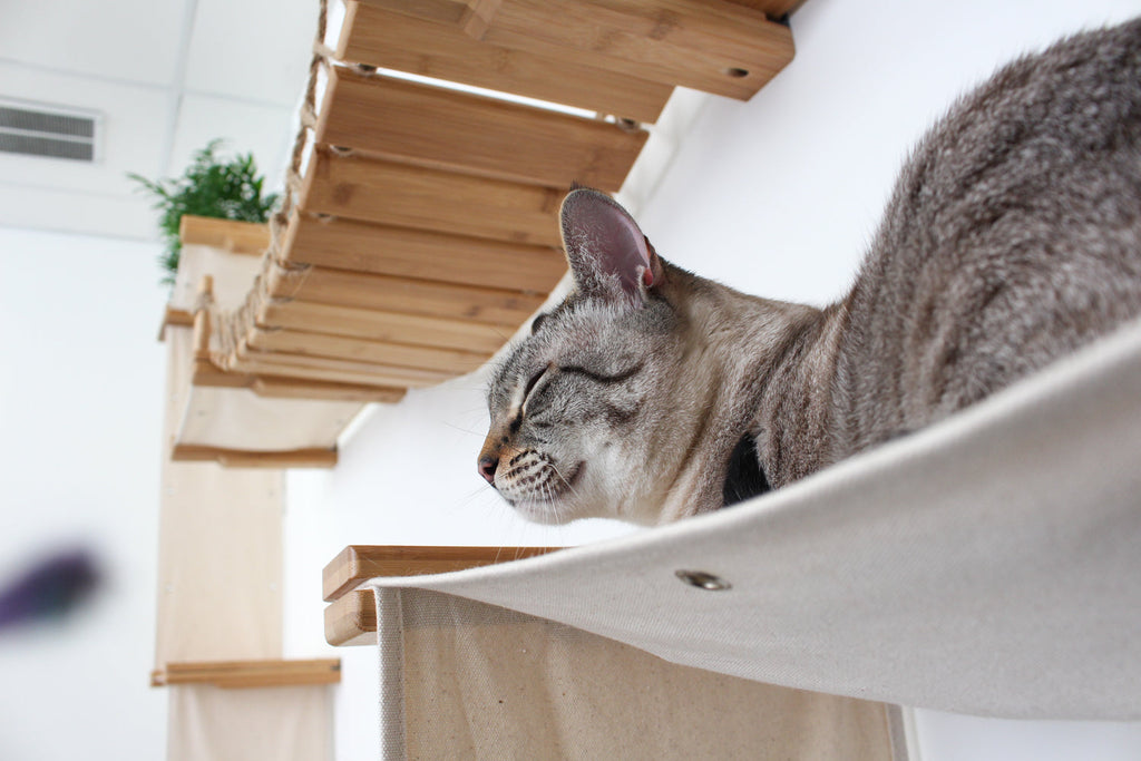 The Temple - Giant Cat Tree on Wall