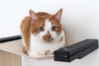 The Play - A Cat Play Wall System