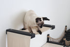 The Canyon - Our Best Cat Tree for Multiple Cats