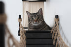 The Temple - Giant Cat Tree on Wall