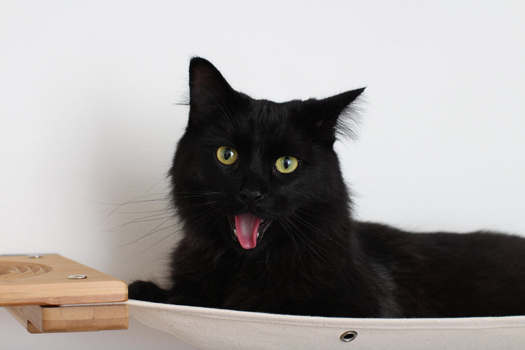Cat Maze Wall - 3 Tier Cat Tree