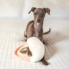 Iris Plush Toy 4 - MiniPaw Luxe