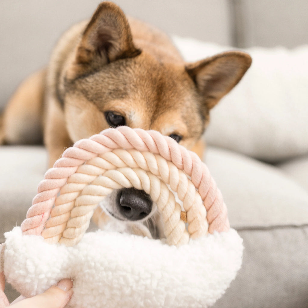 Iris Plush Toy 5 - MiniPaw Luxe