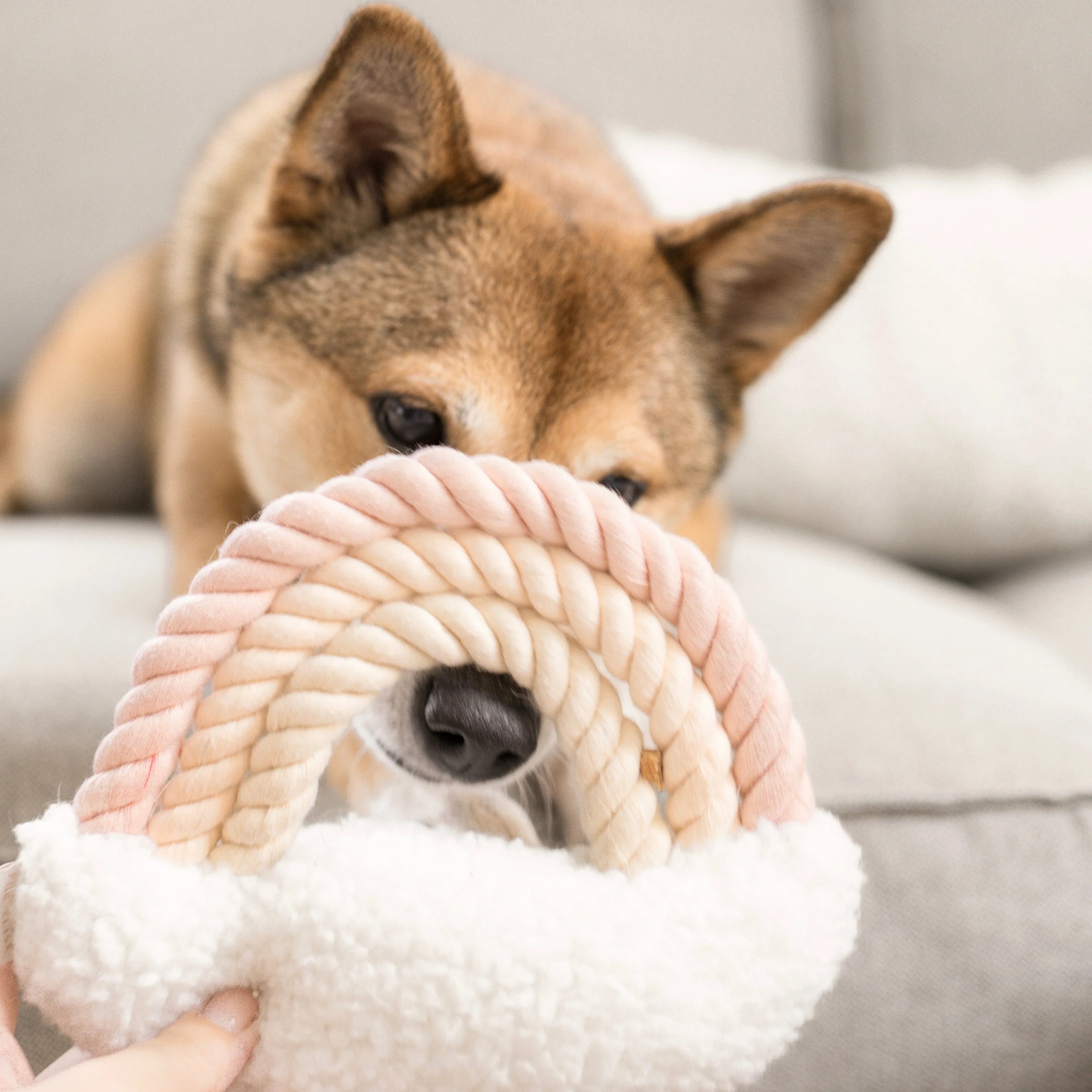 Iris Plush Toy 5 - MiniPaw Luxe