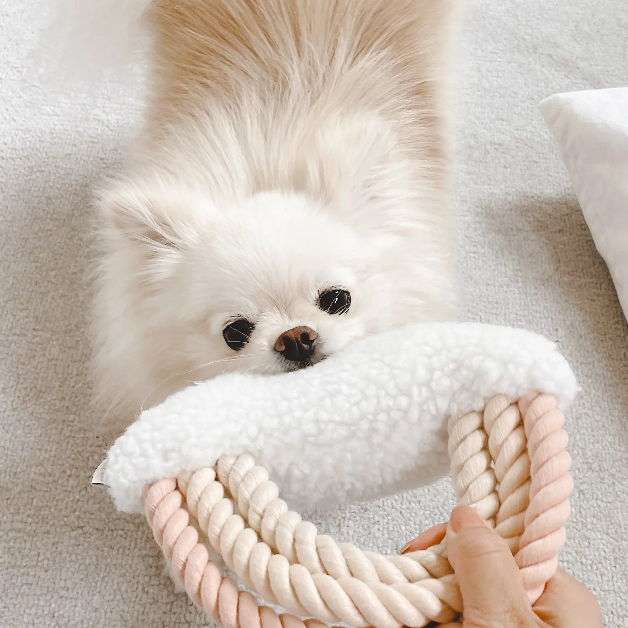 Iris Plush Toy 6 - MiniPaw Luxe