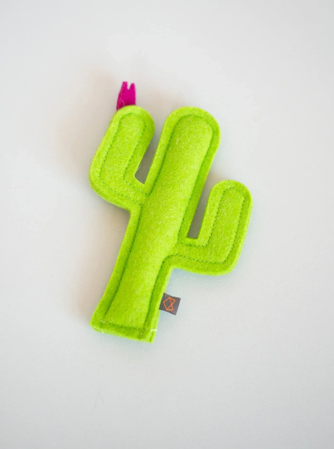 Kitty Cactus 1 - MiniPaw Luxe