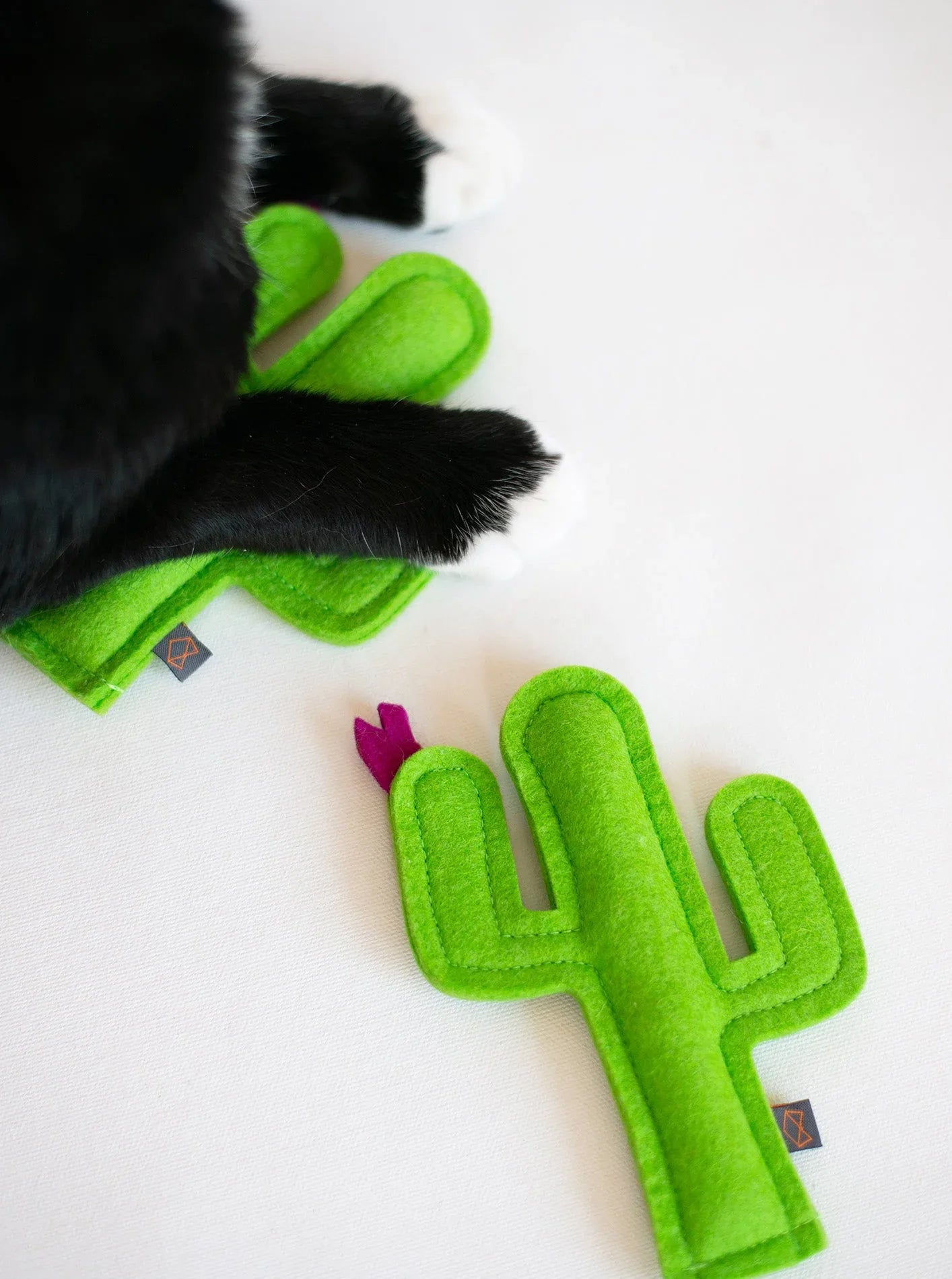 Kitty Cactus 3 - MiniPaw Luxe