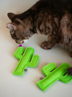 Kitty Cactus 5 - MiniPaw Luxe