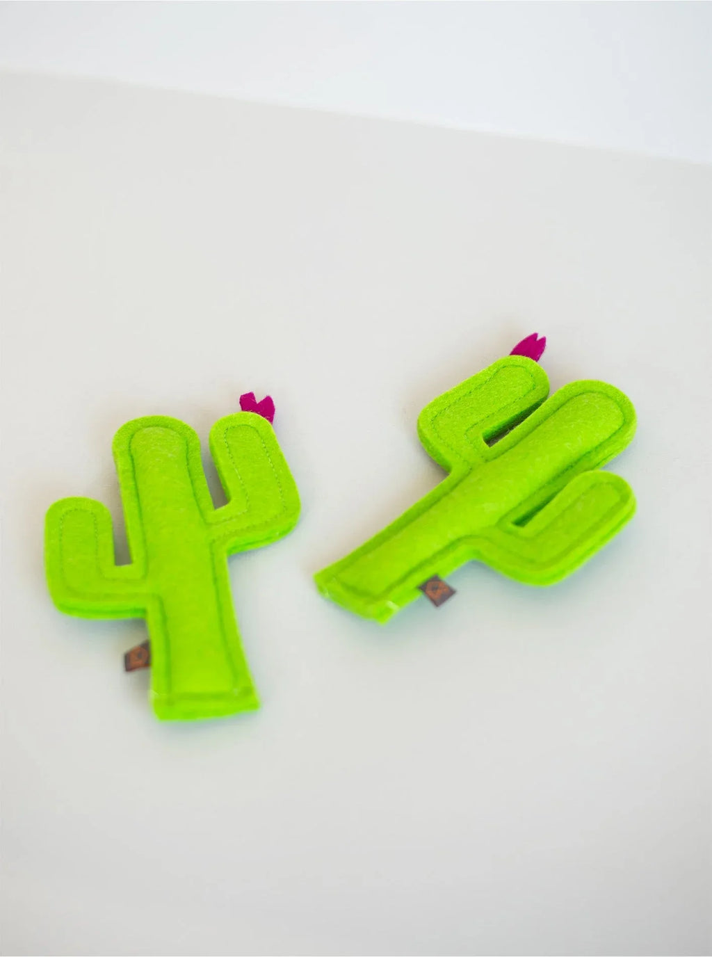 Kitty Cactus 6 - MiniPaw Luxe