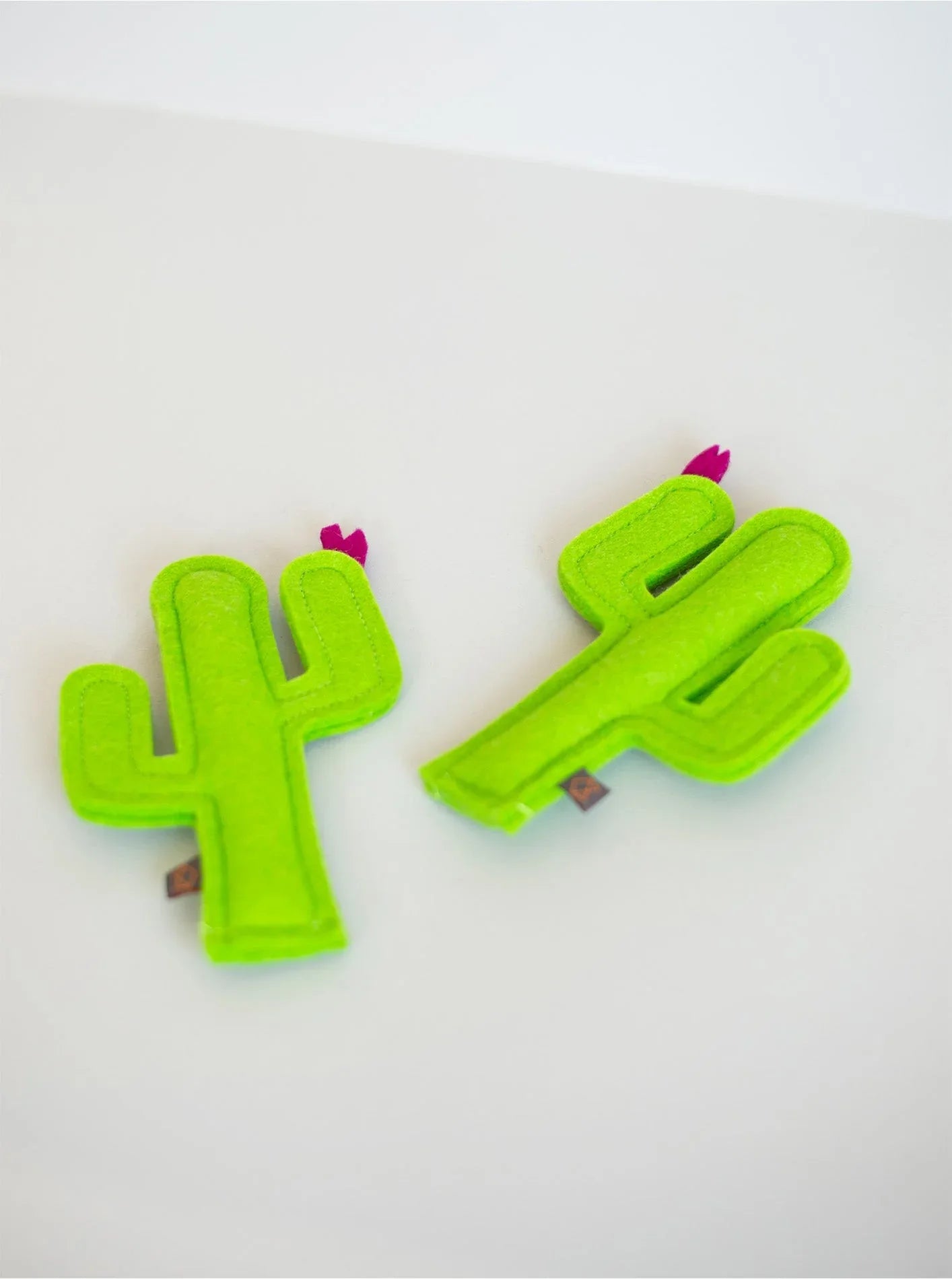 Kitty Cactus 6 - MiniPaw Luxe