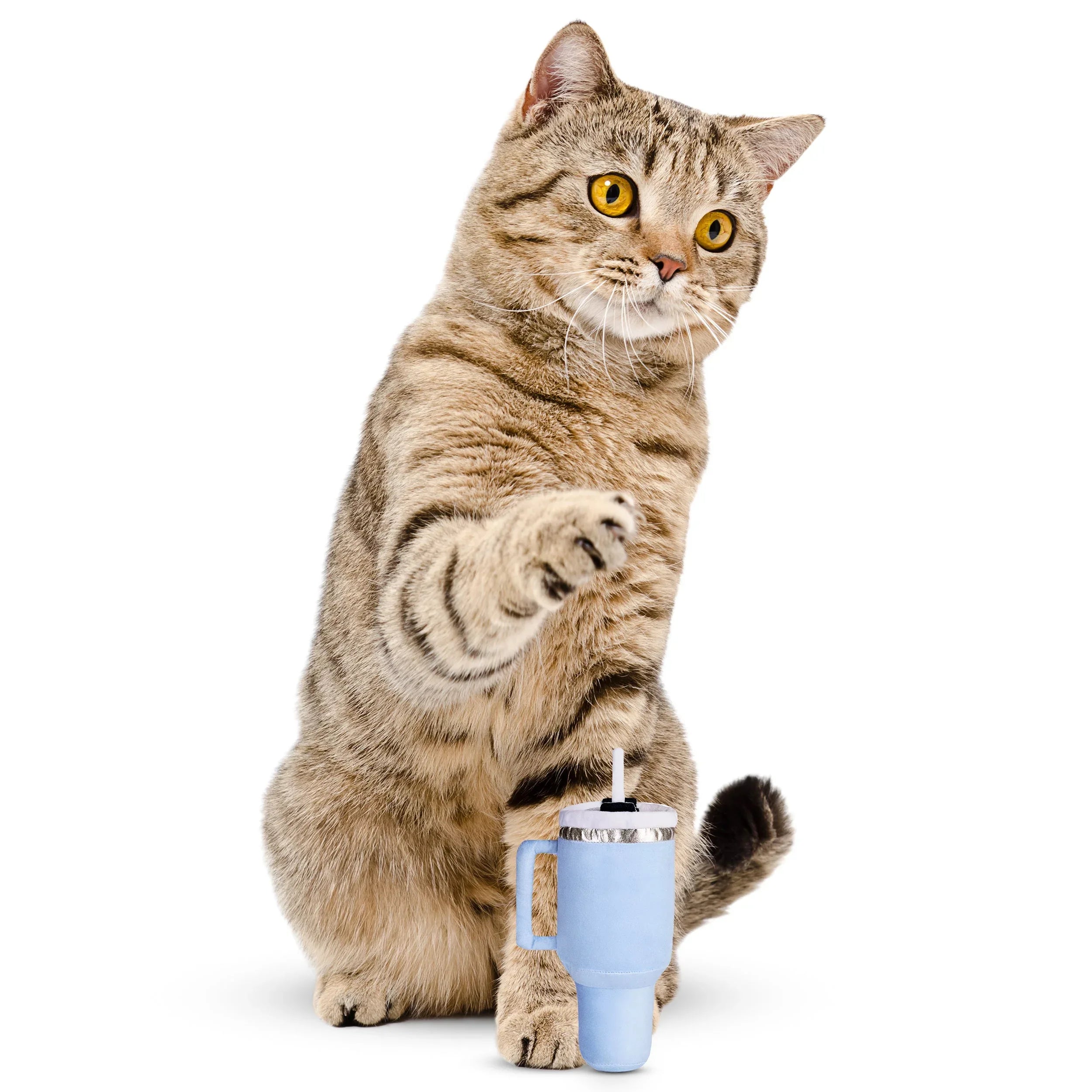 Kitty Cup Tumbler Crinkle Toy with Catnip 12 - MiniPaw Luxe