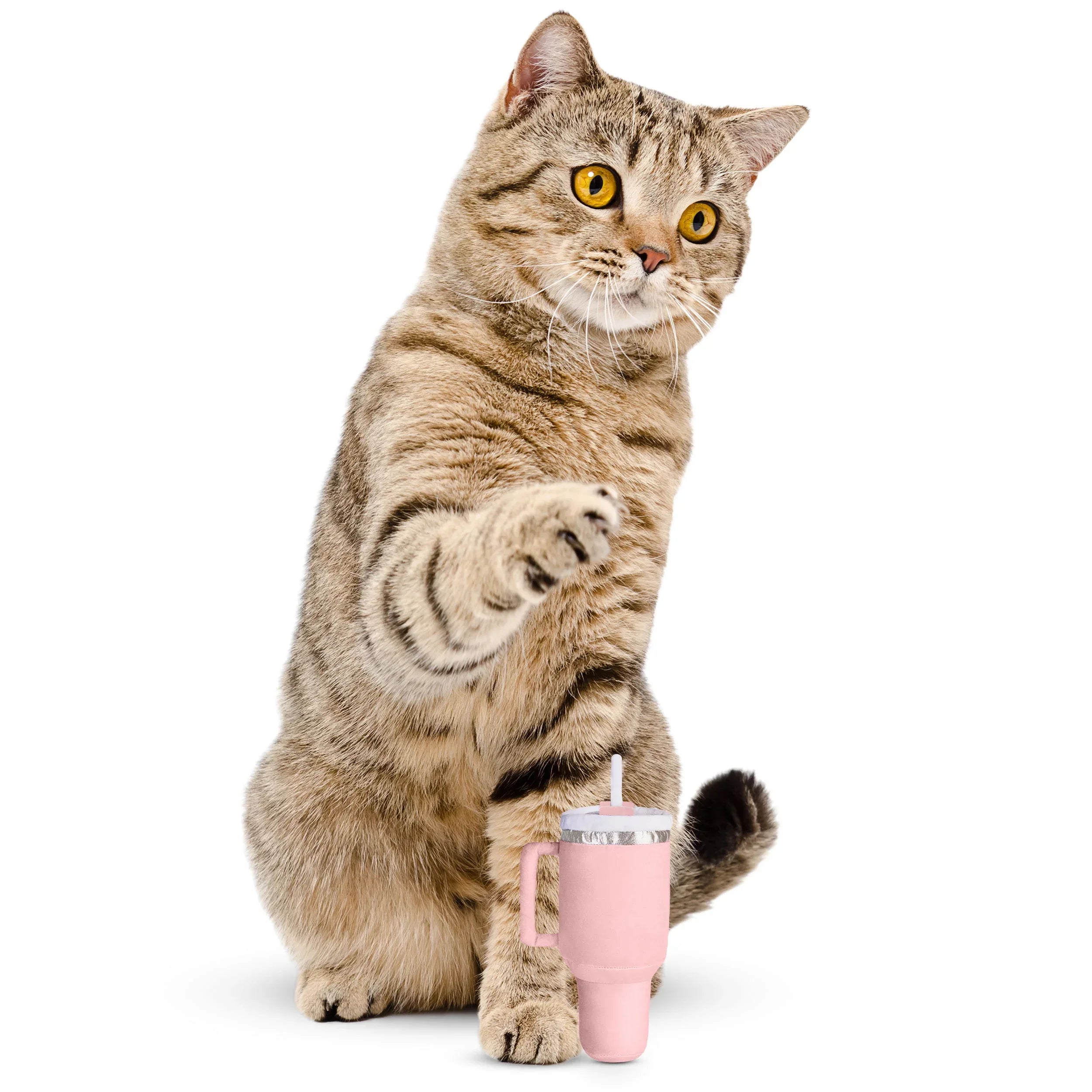 Kitty Cup Tumbler Crinkle Toy with Catnip 1 - MiniPaw Luxe