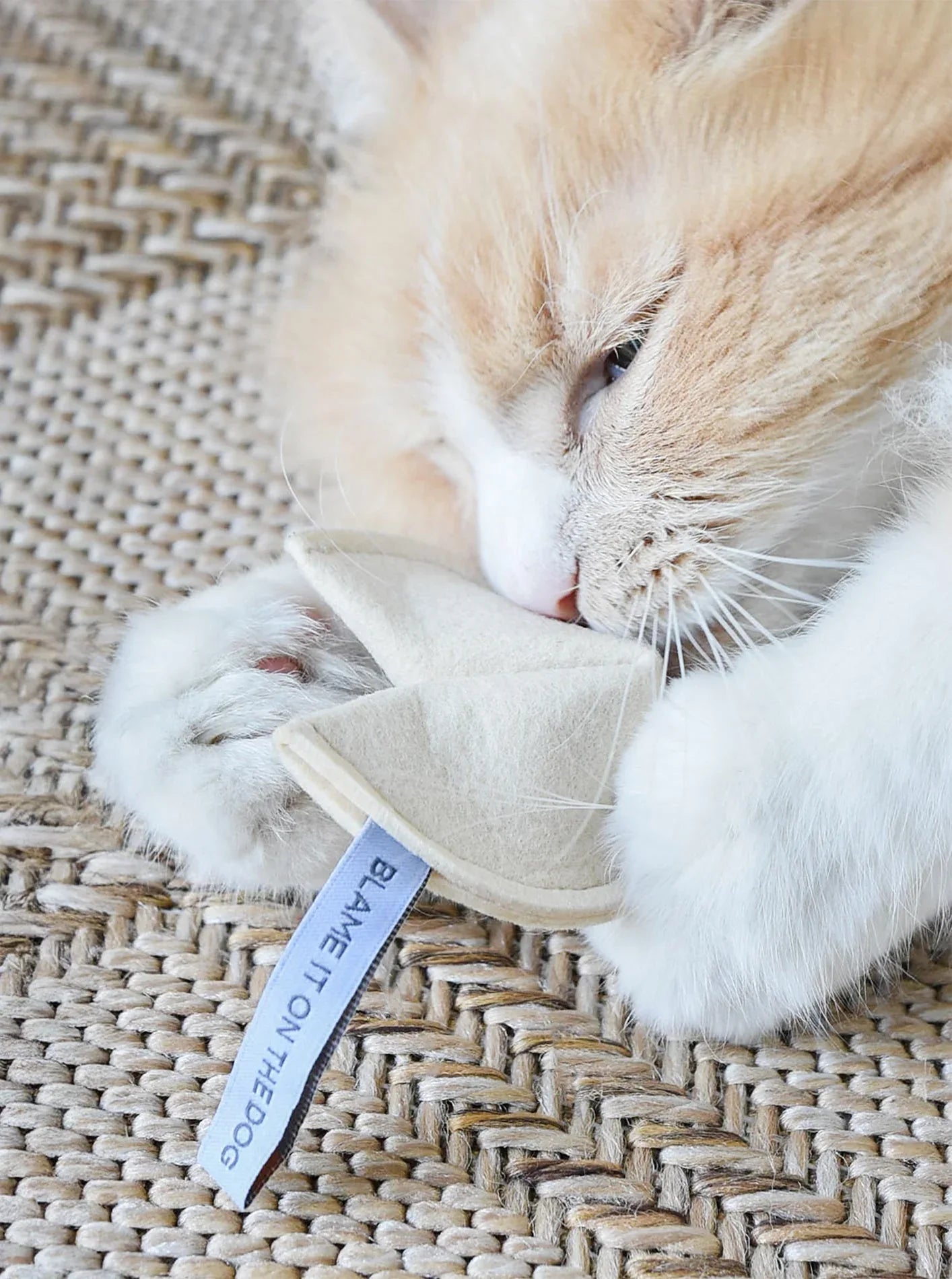 Kitty Fortune Cookie | Blame It On The Dog 2 - MiniPaw Luxe