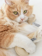 Kitty Fortune Cookie | You Will Catch The Mouse 2 - MiniPaw Luxe